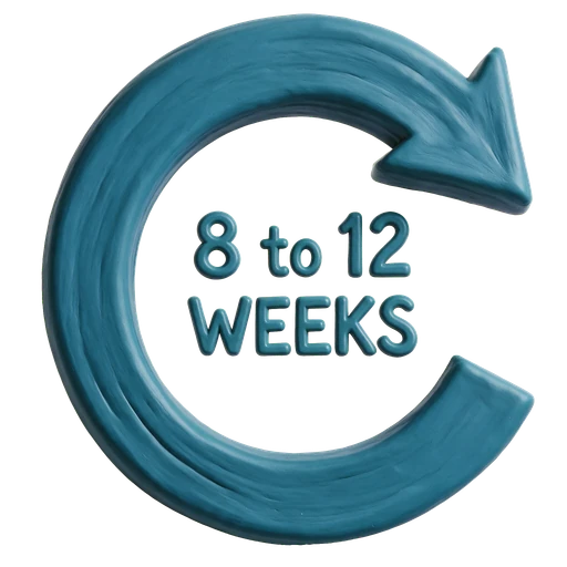 Corrective care timeline — 8 to 12 weeks